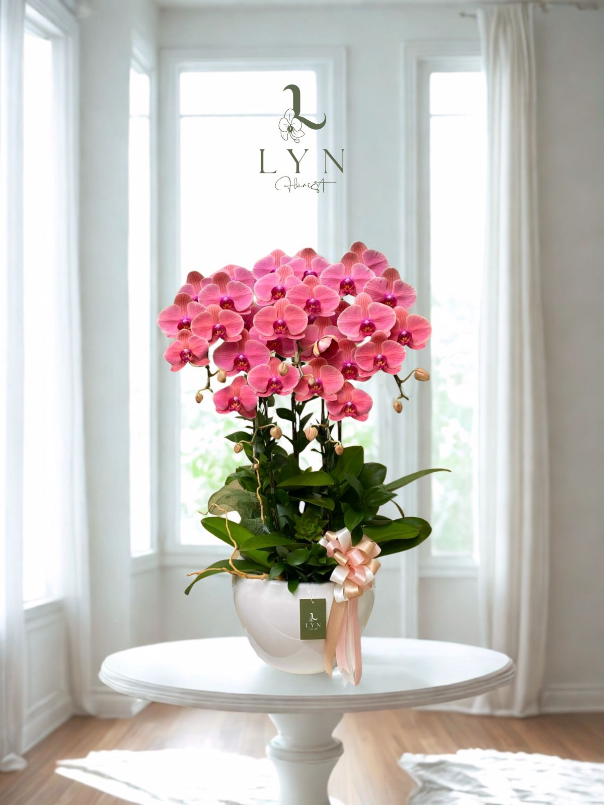 Chậu Hoa Lan Hồ Điệp Hồng Cam Đào